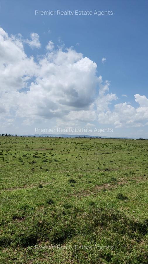 8 ac Residential Land at Nanyuki