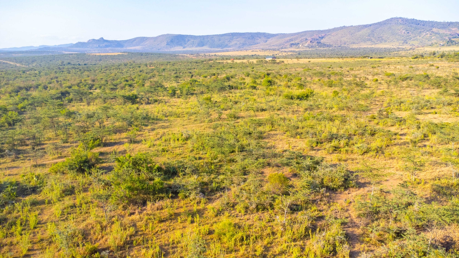 Stunning 100Acres with a dam in Lolldaiga for sale, Lolldaiga ,Nanyuki for Sale